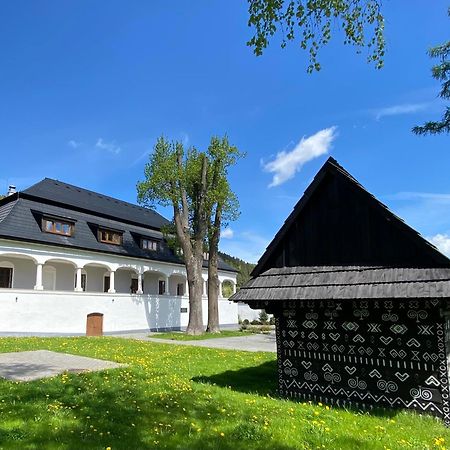 Kastiel Cicmany Hotel Bagian luar foto